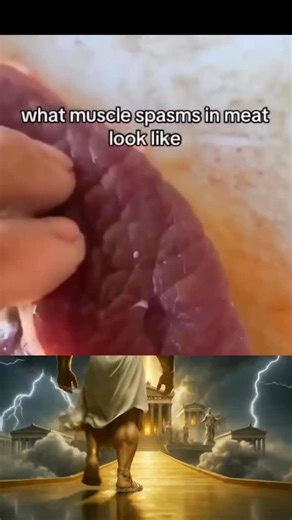 Medical | Science | Facts on Instagram: "A meat “twitch” isn’t as strange as it looks - it’s actually a tiny, involuntary muscle spasm still happening after the animal has been processed. These spasms occur because residual ions in the muscle fibers can briefly activate after death, especially if the tissue is fresh. Factors like electrolyte levels, nerve signals, or even temperature changes can trigger a short contraction. While surprising, it’s completely normal and not a sign of the meat bein