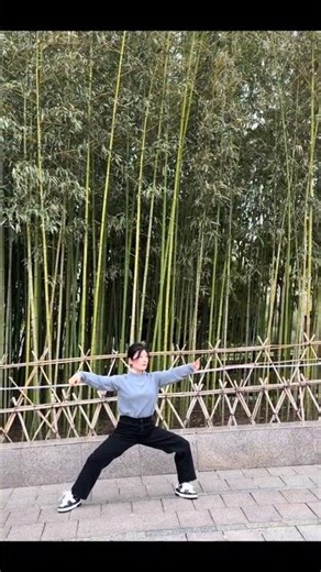 Embrace the Wild Goose Spirit: A Journey Beyond the Norm