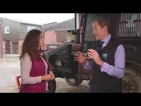 Saying Goodbye - Euthanasia and Your Horse