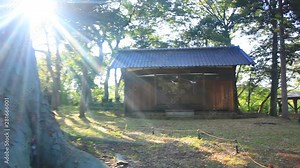 Zoom out of Shiokawa City Nomachi Shinto Shrine and okami tree, Japan