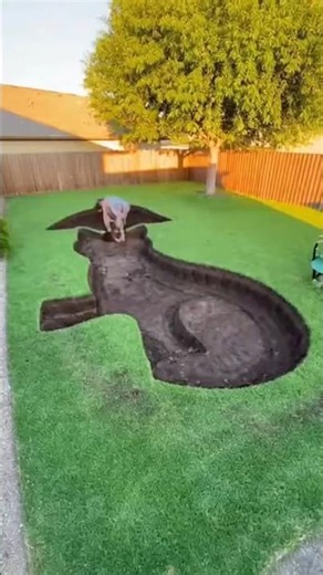 Every cat person needs this pool! 🐱💦