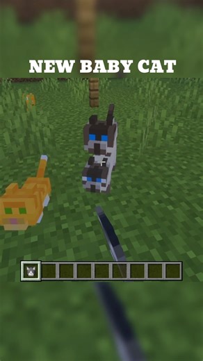 New Baby Cat Minecraft | Minecraft Update #minecraft #minecraftupdate #cat #minecraftmobs