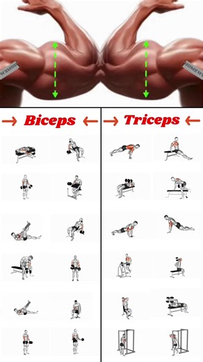 HOMEWORKOUT sur TikTok