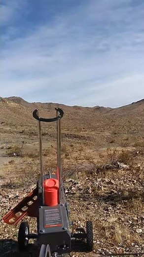 Champion Wheely Bird with Wobbler fun