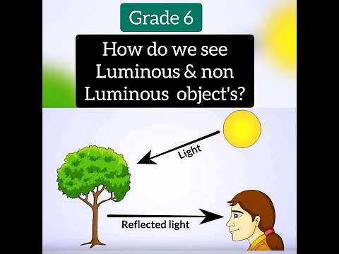 GRADE 6 LIGHT- How do we see non luminous object - My Chemistry Page