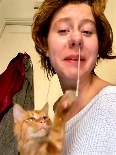 Cats Being Gross! 🤢😹 #cats #cat #catsoftiktok #catlover #fyp