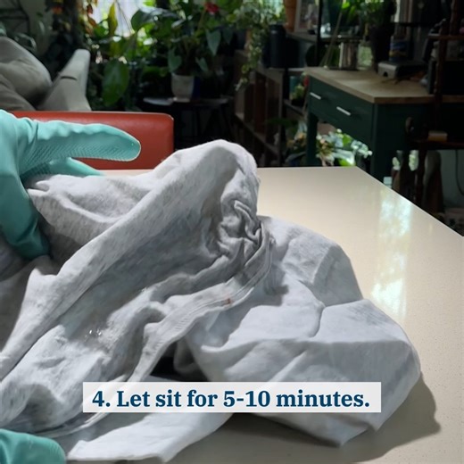 16 reactions | How to remove tomato stains? Pro tip: act fast. | Speed Queen Home Laundry | Facebook