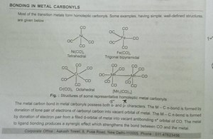 what is π* orbital... | Filo