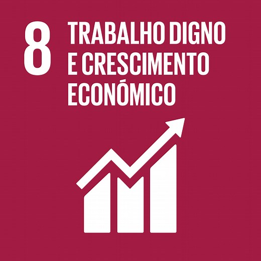 Objetivo 8: Trabalho digno e crescimento económico