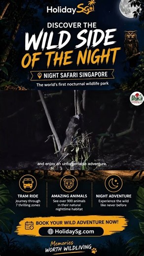 You Won't Believe What Comes Alive After Dark! 🌙 | Night Safari Singapore Guide 2026