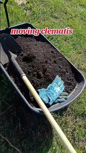 make sure you put weed barrier down and your beds are big enough that the grass will not be able to