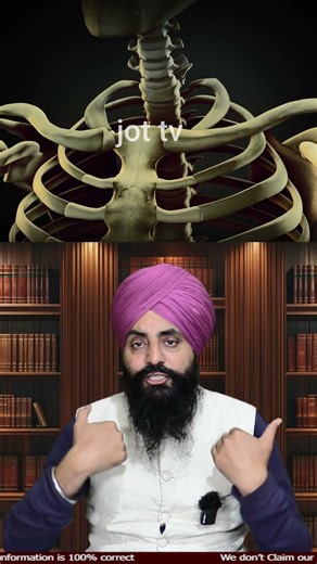 A Human Life in Numbers 🔢✨ Mind-Blowing Facts About Us