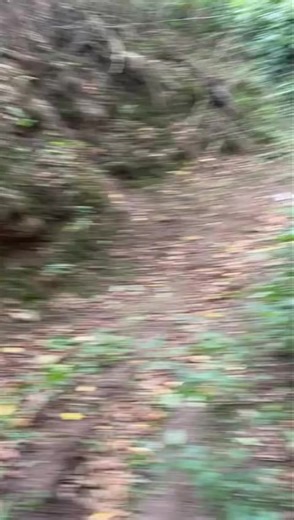 The course at Peppers Farm is ready and waiting for you all. This Saturday 27th September. A fantastic piece of land we only get to use once a year. What are you waiting for? Get entered below! Adults: https://www.entrycentral.com/GHFunDay270925A Youth: https://www.entrycentral.com/GHFunDay270925Y | GH Motorcycles