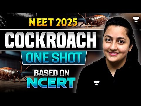 Cockroach Part-2 | One Shot | Based on New NCERT | NEET 2025 | Infinity Series | Ambika Ma'am