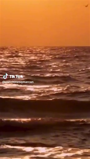 Videos de educito (@edualdia) con “sonido original - educito”