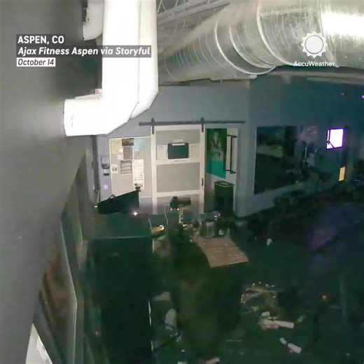Just a couple of bears hitting the gym to bulk up for winter. 🐻 The Colorado gym owner said the two bears feasted on protein shakes, supplements, including creatine, and coffee for nearly two hours. | AccuWeather