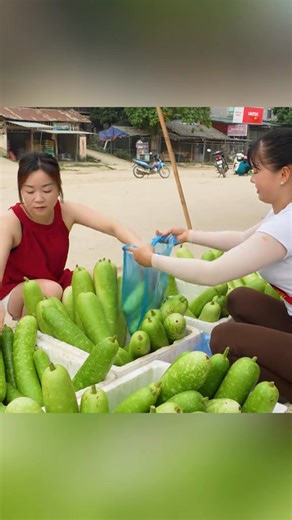 #mybushcraft #farmlife #harvesting #farm #garden #fruitsbasket #gourds | My Bushcraft