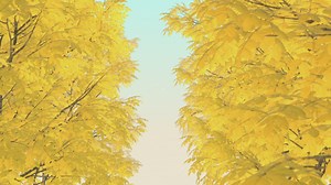 Trees with dry autumn leaves, 3D loop video - Free Stock Video