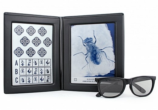 Stereo fly test "Titmus"