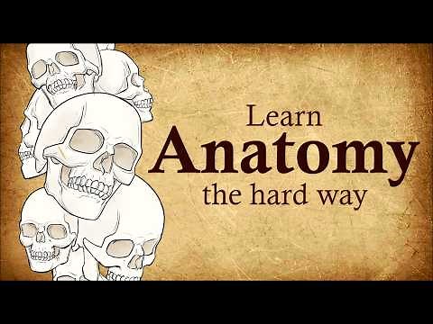 Learn Anatomy the Hard Way (And Actually understand it)
