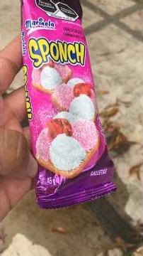 Strawberry Sponchs Review 🍓 With Rating