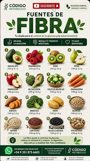 🌾 16 alimentos ricos en fibra que pueden transformar tu salud intestinal y metabólica