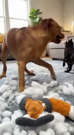 The Ultimate "Toy Massacre": Dog vs. Plushie (Stuffing Explosion!)