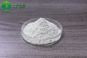 [Hot Item] Polygonum Cuspidatum Extract Trans Resveratrol Supplement 95% Resveratrol Powder