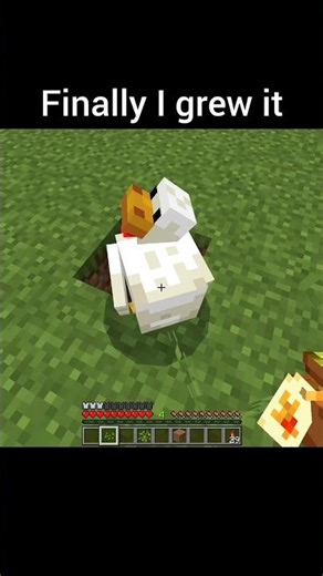 Chicken on tree #minecraft