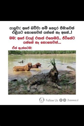 Mr kottu memes බුකියේ රස කතා අද 😂 | HC Fun Memes 🤣 #sinhala #shorts Episode 2400 #athalmemes #shorts