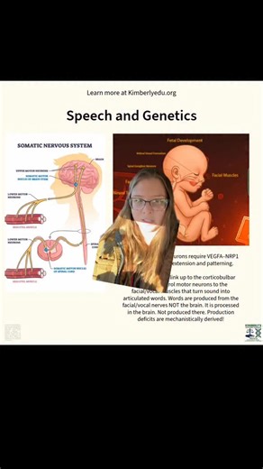 5.8K views · 51 reactions | Apraxia of speech and the physiological mechanisms that connect the brain to speech mechanisms include the corticobulbar tract and motor neurons of the motor pathways that produce words #autism #apraxia #nonverbal #nonspeaking | Kimberly’s Educational Resources | Facebook