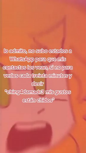 How to Use WhatsApp: A Beginner's Guide