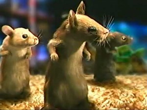 Blockbuster commercial from 2004