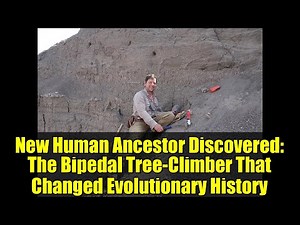 New Human Ancestor Discovered: The Bipedal Tree-Climber That Changed Evolutionary History