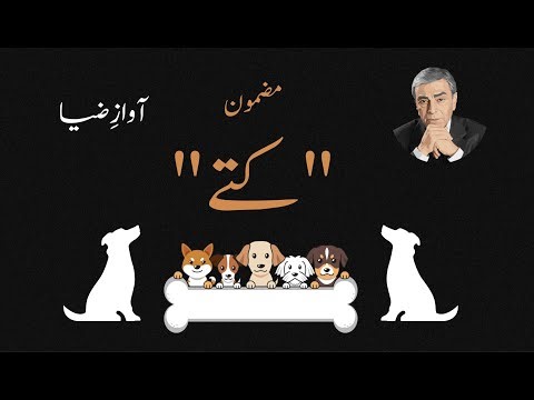 Kutte کتے (Dogs) — A Classic Patras Bokhari Essay | Zia Mohyeddin Style Narration | Awaz-e-Zia