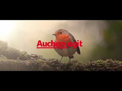 Pub Auchan Agit pour que tous change - Pub Auchan 2018 + Musique