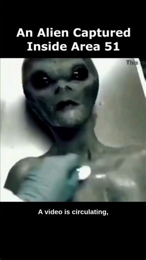 Alien Captured at Area 51…👽