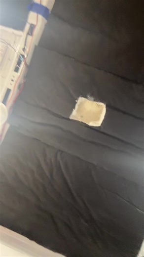 Unexpected Pizza Roll Encounter in My Van