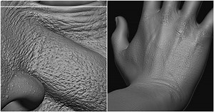 Get a Set of Over 40 Brushes to Create Realistic Skin in ZBrush