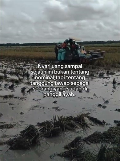 MAXXI ||#automobile #kombi #kombisawah #maxxibimo102standar #maxxibimoterbaru #combineharvester