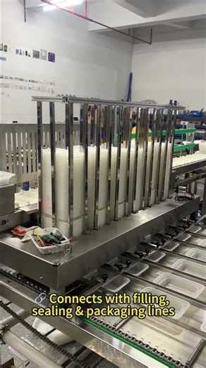 🚀 Next-Gen Multi-Channel Continuous Sub-tray Loader | High Speed • Zero Jam • Quick ROI!