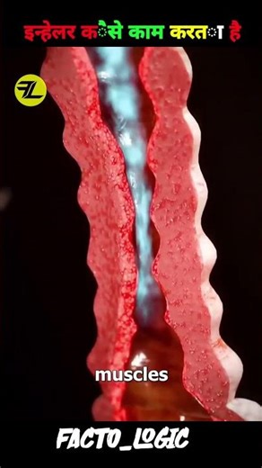 How An Inhaler Works (3D Animation)#shortvideo #facts #3danimation