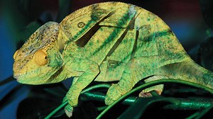 Novell acquired by Attachmate, sells some patents to Microsoft