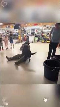 Soldier Returns from Deployment – Dog's Overjoyed Reunion Tears! 😭🐕❤️#MilitaryDog #DogLoyalty