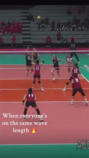 Volleyball Team Spirit