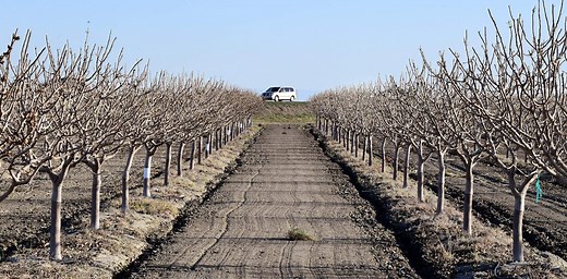 Water wells are at risk of going dry in the US and worldwide