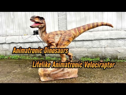 Building a 3M Lifelike Animatronic Raptor