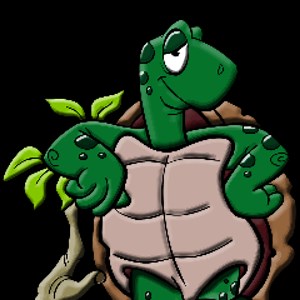 El_Turtle_Hermit - Twitch