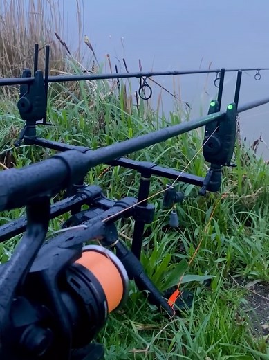 Epic Carp Run Adventure!