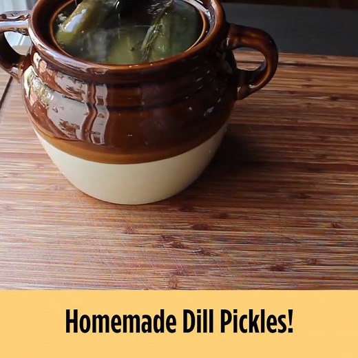 1.5M views · 10K reactions | Love dill pickles? Let Chef John show you how to make your own. GET THE RECIPE: https://armagazine.com/3av4FE8 | Allrecipes | Facebook